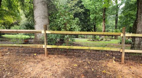 What Is the Best Fencing for Farm Animals | Asheville Fence | Residential and Commercial Fence