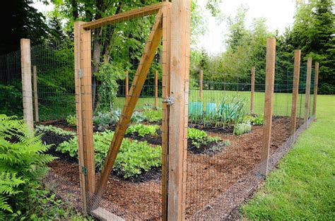 Vegetable Garden Fence Ideas Deer