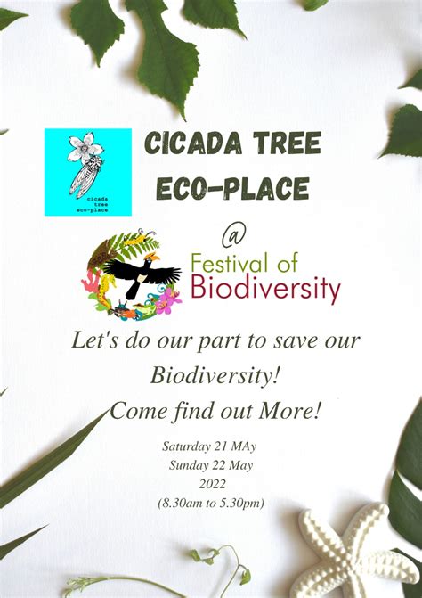 Cicada Tree Eco-Place – Nature, culture | embracing earth and our roots