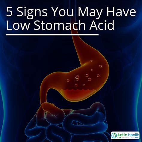 5 Signs You May Have Low Stomach Acid - Austin Texas Functional ...