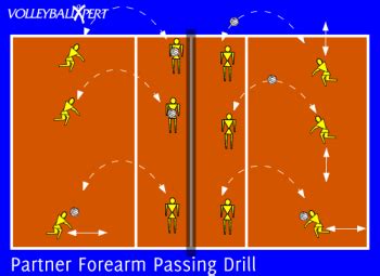 Partner Forearm Passing Drill - VolleyballXpert