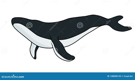 Humpback Whale Vector Illustration.Whale Vector Stock Vector ...