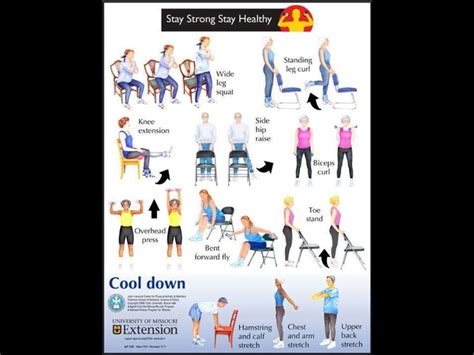 Pin by Kathy Bretl on Better Health | Osteoporosis, Osteoporosis exercises, Leg curl