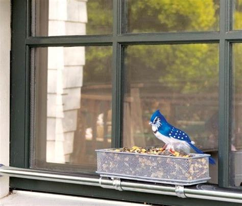 Window Dressing | Window bird feeder, Diy bird feeder, Bird feeders