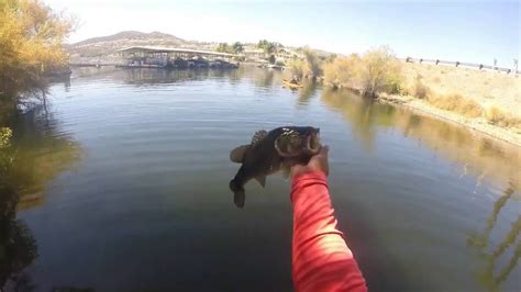 Bass FIshing Canyon Lake, Ca - YouTube