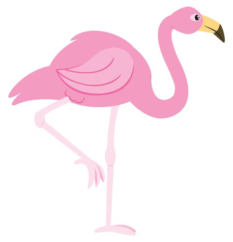 Pink Flamingo Cartoon Clipart