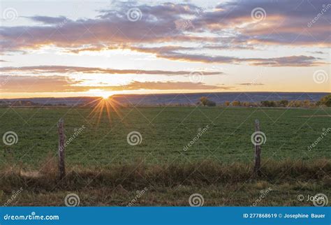 Morning Sunrise on Farm Field Green Landscape Sun Star Stock Image - Image of plain, sunset ...