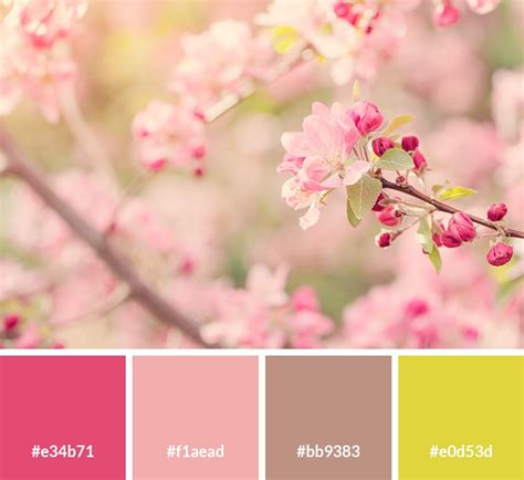 17 Spring Color Palettes for Your Designs