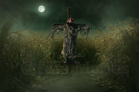 Scarecrow in Cornfield Cornstalks - Field with Cross - Halloween Digital Background Backdrop