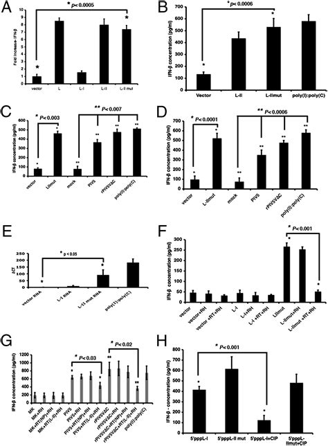 Activation of IFN-β expression by a viral mRNA through RNase L and MDA5 | PNAS