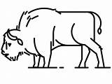 Angry Bison 1 Coloring  Play Free Game Online sketch template