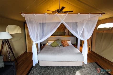 Why Dubbo Zoo & Zoofari Lodge is Like Being on a Real Safari