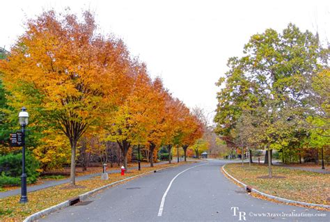 Fall Foliage in Princeton University Campus - Travel Realizations