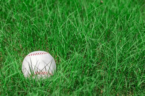 Green Grass Field Baseball Background | PSD Free Download - Pikbest