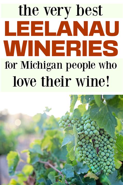 Best Leelanau Peninsula Wineries and Vineyards Guide - Meet Me in Michigan