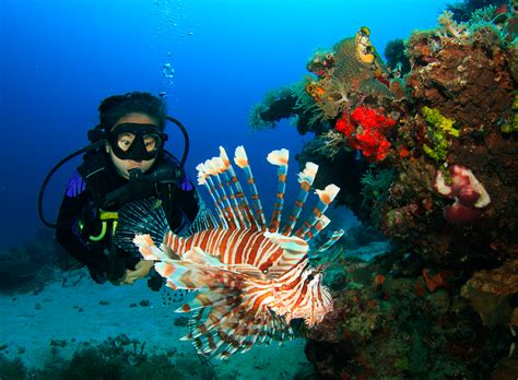 Top 10 best places in the world to go scuba diving in 2020 - Windy.app