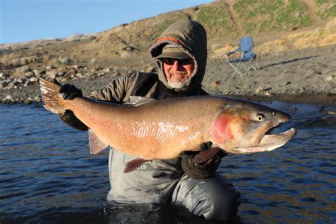 Pyramid Lake Jurassic Trout - Anglers Journal - A Fishing Life