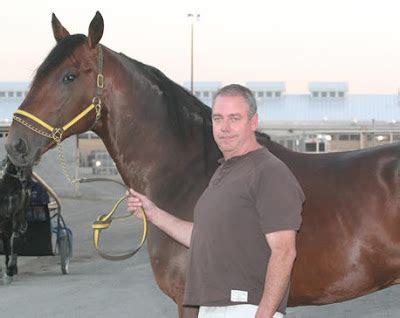 Horses and Hockey: Online Tribute: Somebeachsomewhere retires to stud as richest, fastest 3 year ...