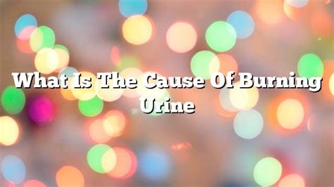 What is the cause of burning urine - ON THE WEB TODAY