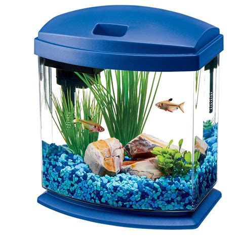 Top 12 Best Fish Tank For Kids & Reviews In 2020