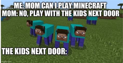 20 Funny Minecraft Memes Of 2022 That Will Crack Anyone Up - BrightChamps Blog