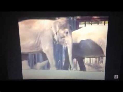 Barney Let's go to the zoo song 7:The Elephant song - YouTube