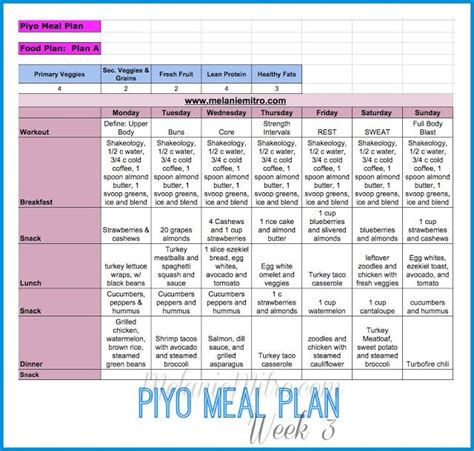 Athlean X Meal Plan Pdf Download - lasopayoutube