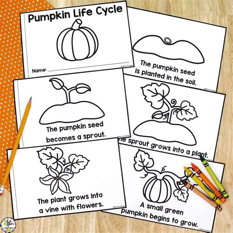 Life Cycle of a Pumpkin Book: Free Printable Science Book