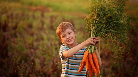 Carrot Benefits for Children You Must Know - HealthKart