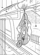 Spiderman Coloring Pages Free Printable sketch template