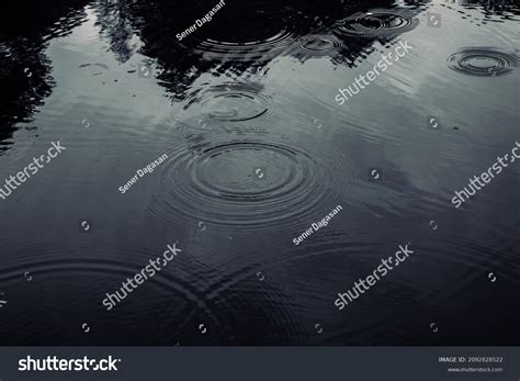 243,883 Raindrop reflection Images, Stock Photos & Vectors | Shutterstock