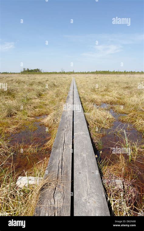 Selli-Sillaotsa Hiking Trail in Alam-Pedja Nature Reserve, Estonia EU ...