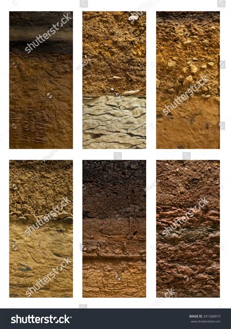 Different Types Soil Ground On White Stock Photo 341368019 - Shutterstock