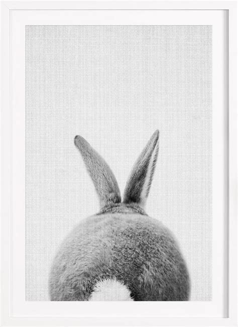 Rabbit Tail Monochrome Photograph Poster | Monochrome photograph ...