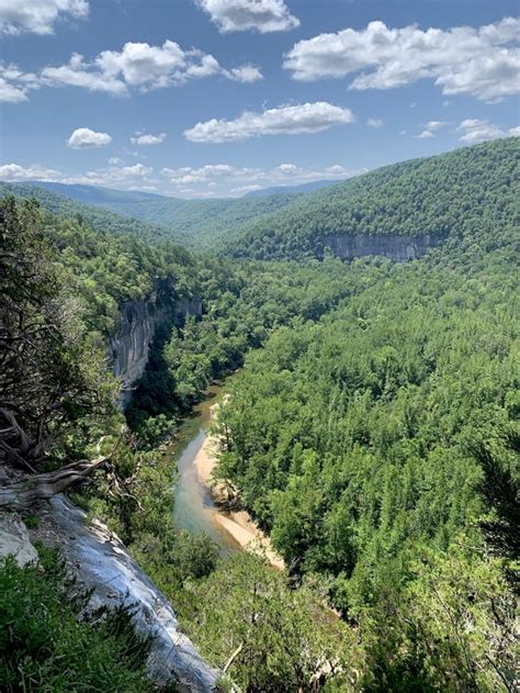 Beautiful hike with a bonus swim. Goat Bluff Trail, Buffalo River ...