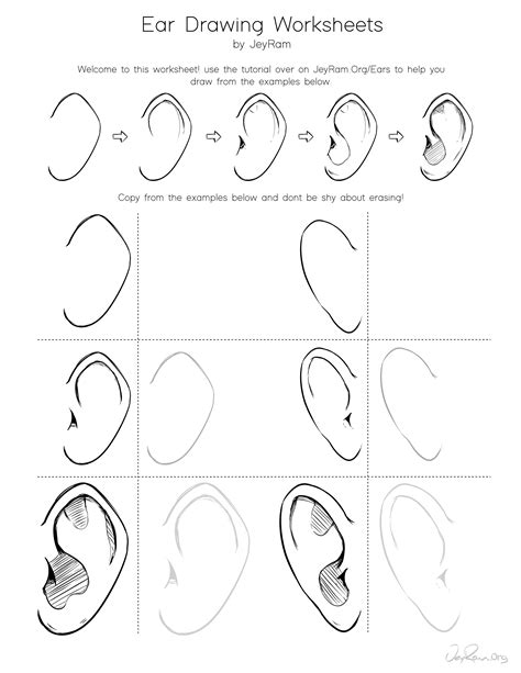 How To Draw Ears Step By Step