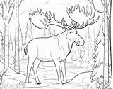 Mammals Coloring Pages sketch template