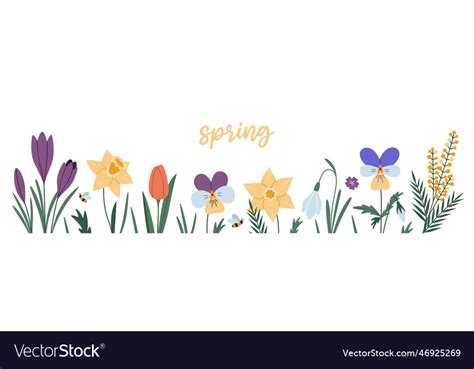 Set of various spring flowers floral border Vector Image