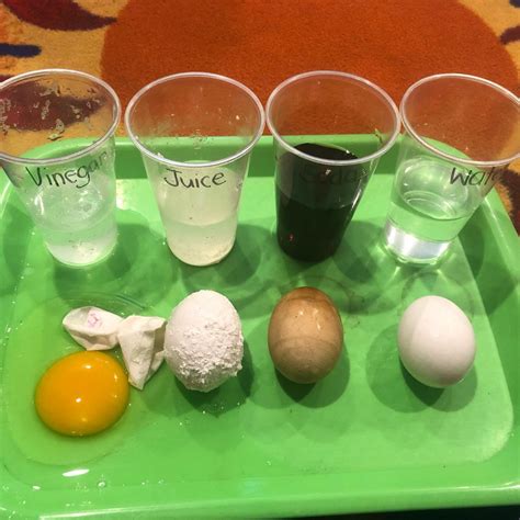 Egg Shell Dissolving Science Experiment that Simulates Dental Health. TeachersMag.com