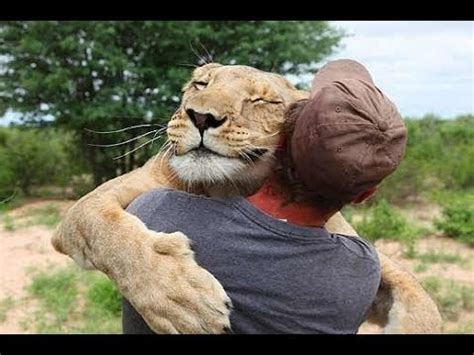 Animals Hugging Humans – Fresh Positivity