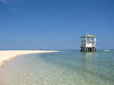 Sagay Marine Reserve (Carbin Reef) (Sagay City) - 2021 All You Need to ...