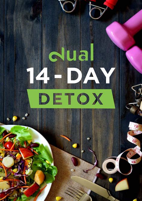 Amazon.com: DUAL 14-Day Detox Plan - Complete with tasty Recipes ...