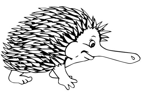 Echidna Art Coloring Page - Free Printable Coloring Pages for Kids