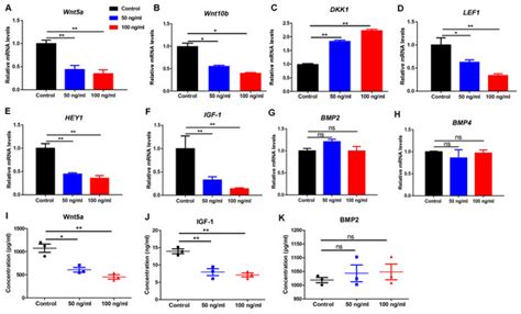 Platelet factor 4 inhibits human hair follicle growth and promotes androgen receptor expression ...