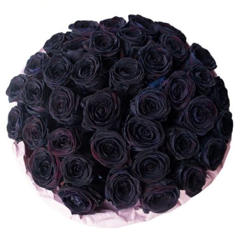 Premium black roses bouquet. Buy in Vancouver. Fresh flowers delivery from florist local shop.