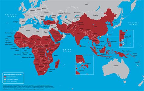 Fighting malaria is going to take more than just nets