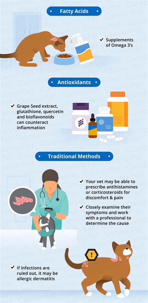 Allergic Dermatitis in Cats: Recognize the Signs | Canna-Pet