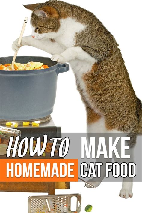 Chicken Cat Food | Recipe | Homemade cat food, Cat nutrition, Cat food