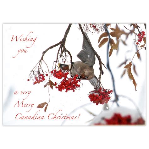 Merry Canadian Christmas! - DōnaBōna Cards