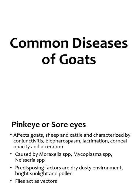 Goat Diseases | PDF | Diseases And Disorders | Medicine